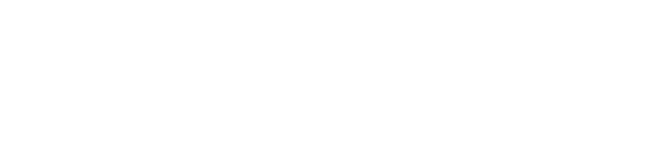Mesh Overlay
